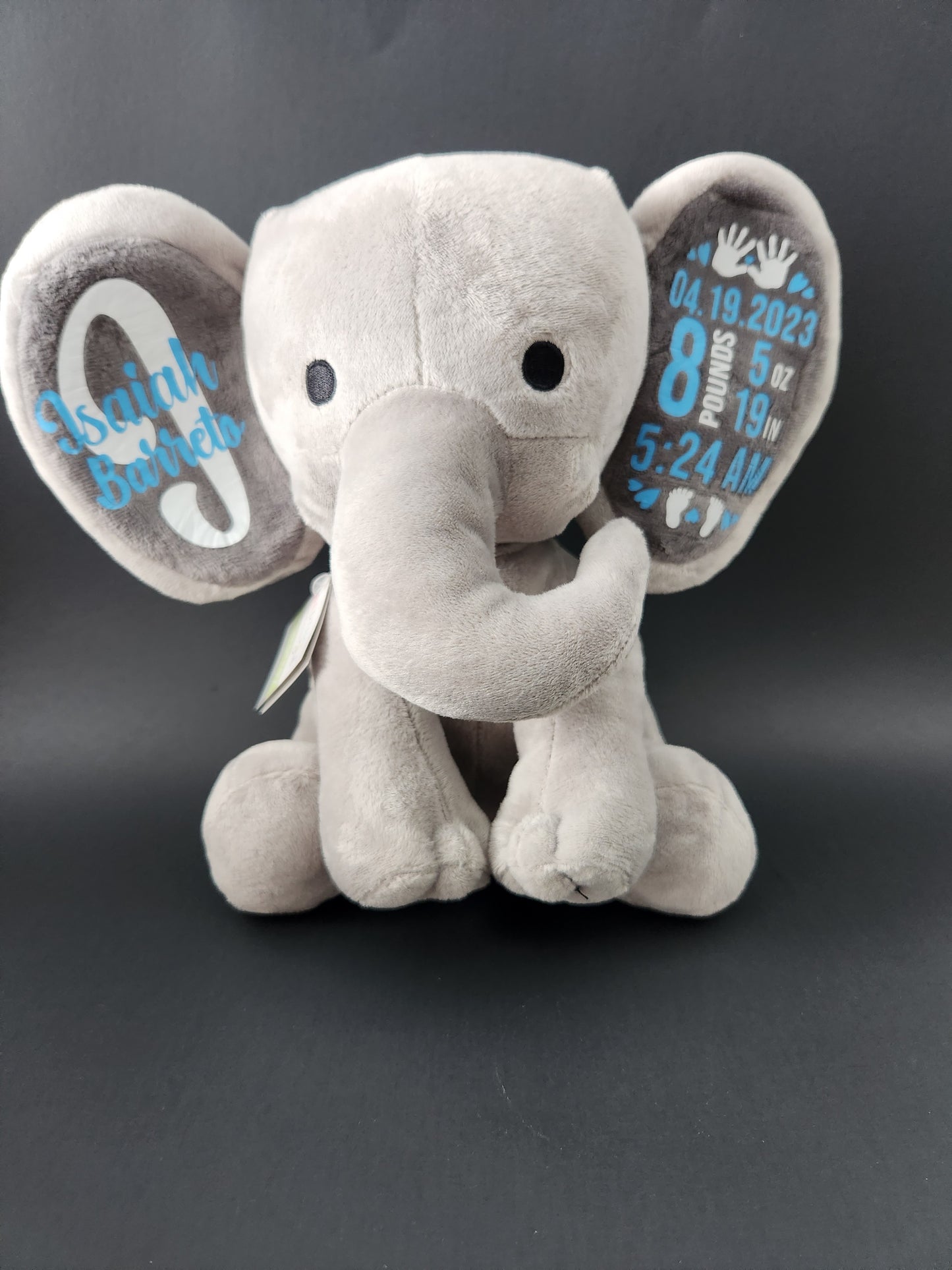 Keepsake Birthstat Elephant